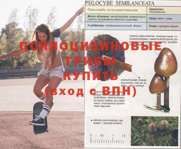 винт Абаза