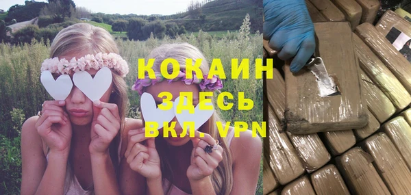 винт Абаза