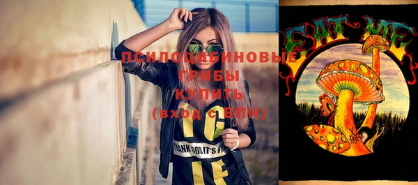 винт Абаза