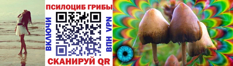 Псилоцибиновые грибы Magic Shrooms  Углегорск 